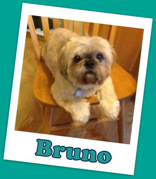 Bruno Delaware