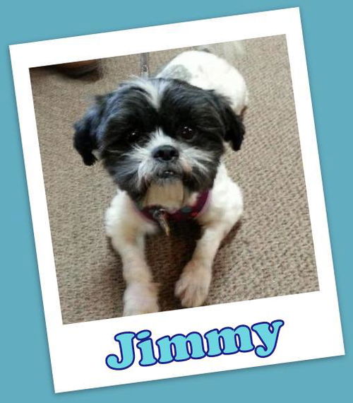 Jimmy Franklin (ADOPTION PENDING)