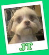 JT Franklin (adoption pending)