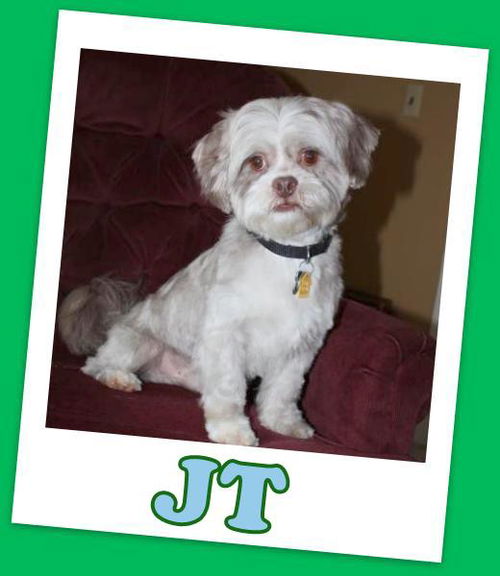 JT Franklin (adoption pending)