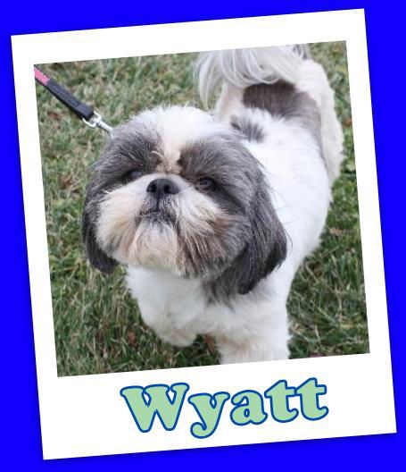 Wyatt Trumbull (ADOPTION PENDING)