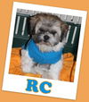 RC (ADOPTION PENDING)