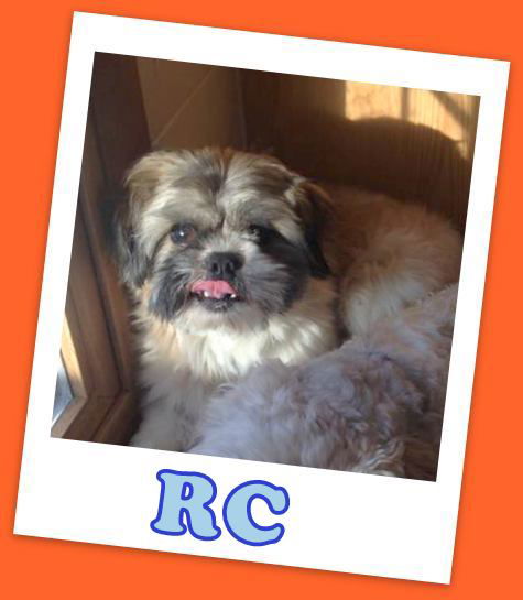 RC (ADOPTION PENDING)