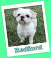 Redford Marion (adoption  pending )