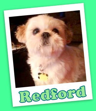 Redford Marion (adoption  pending )