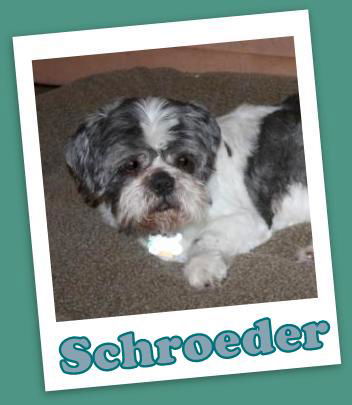 Schroeder Franklin (ADOPTION PENDING)