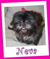 Neva (ADOPTION PENDING)