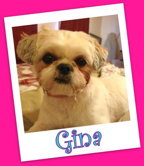 Gina Marie (ADOPTION PENDING)