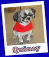 Quincy Franklin (adoption pending )