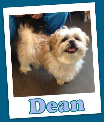 Dean Franklin (ADOPTION PENDING)