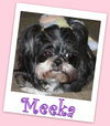 Meeka Franklin (ADOPTION PENDING)