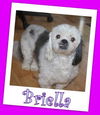 Briella Franklin (ADOPTION PENDING)