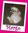 Margo Franklin (ADOPTION PENDING)