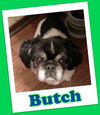 Butch Franklin (ADOPTION PENDING)