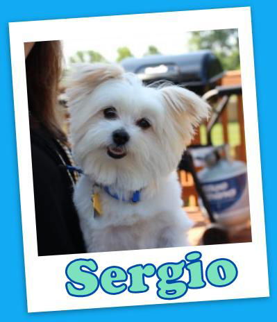 Sergio