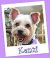 Kenzi Franklin (ADOPTION PENDING)