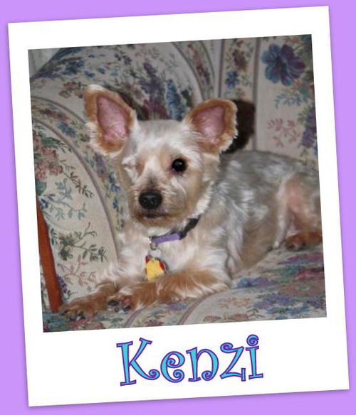 Kenzi Franklin (ADOPTION PENDING)