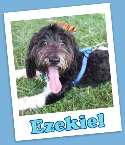 Ezekiel Marion (ADOPTION PENDING)