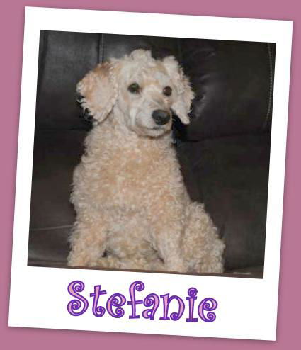 Stefanie Franklin (adoption Pending)