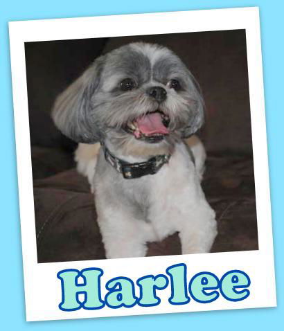 Harlee