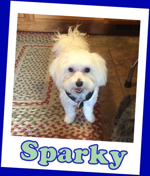 Sparky