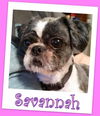 Savanah Franklin (ADOPTION PENDING)