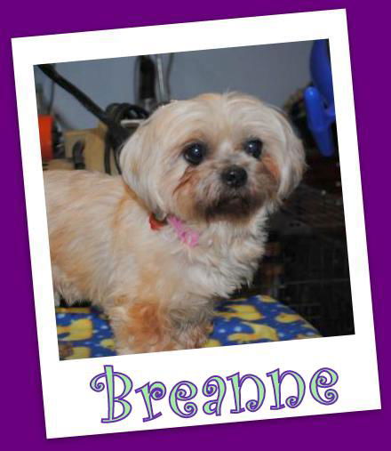 Breanne Trumbell (ADOPTION PENDING)