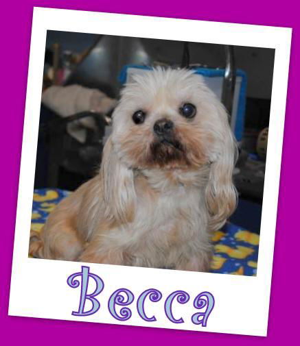 Becca Trumbull (ADOPTION PENDING)