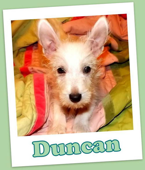 Duncan