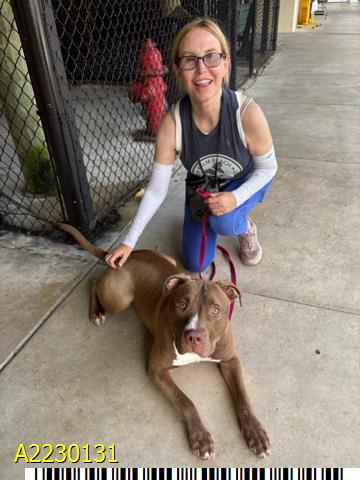 adoptable Dog in Royal Palm Beach, FL named OSCAR