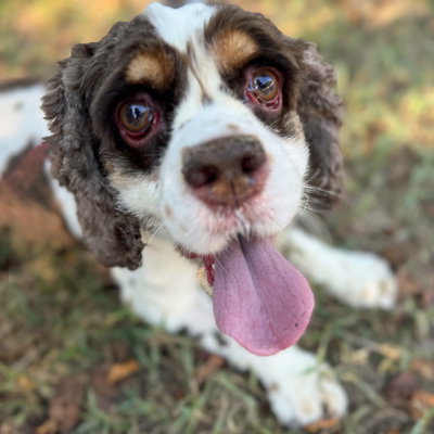 Photo of Elsa