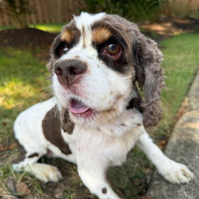 Photo of Elsa