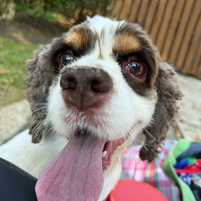 Photo of Elsa