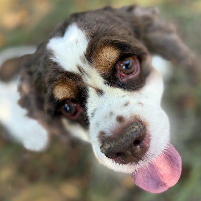 Photo of Elsa