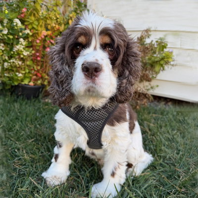 Photo of Elsa
