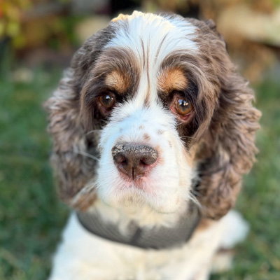 Photo of Elsa