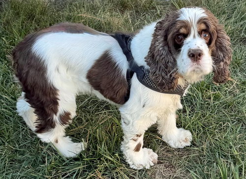 Photo of Elsa