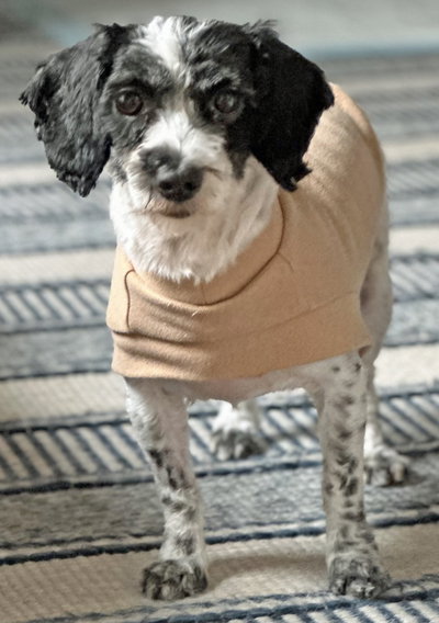 Molly