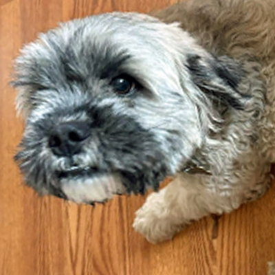 Winston