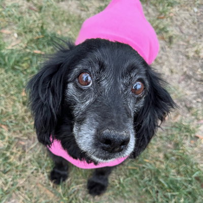 Mollie