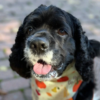 Molly