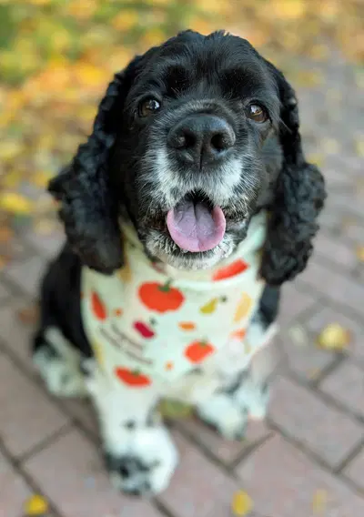 Molly image 2