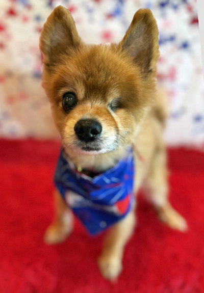 Remi photo 2