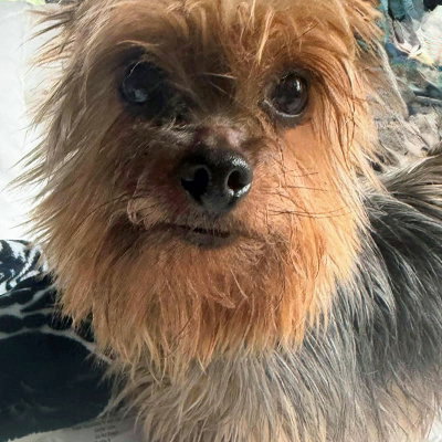 Theo, photo 8