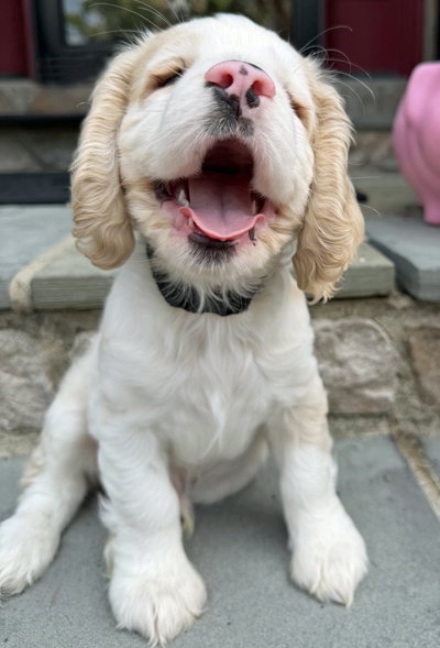 Bubba Bear photo 2