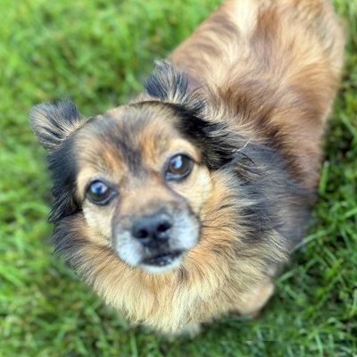 Boyd, photo 3