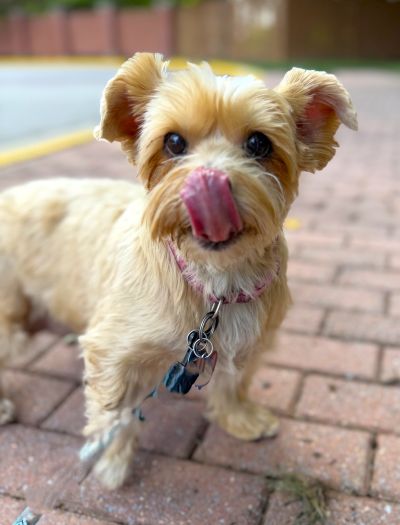 Photo 3 of Lucy