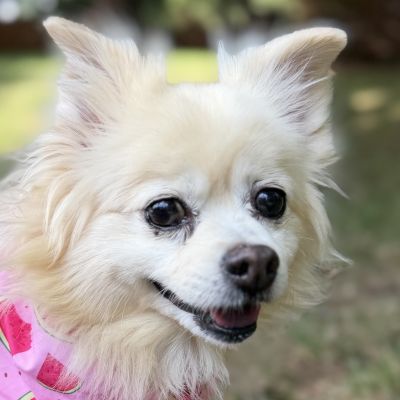Lilly