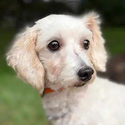 Barnaby image 3