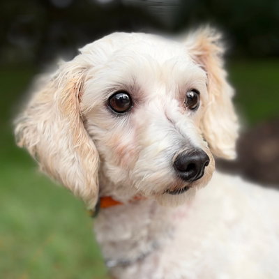 Photo 3 of Barnaby